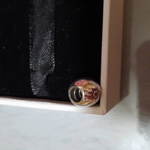 Apple of my Eye Pandora Charm - Picture 3 of 8